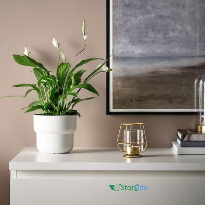 IKEA : PARLBAND : Tealight Holder