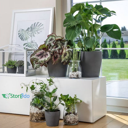 IKEA : PERSILLADE : Plant Pot