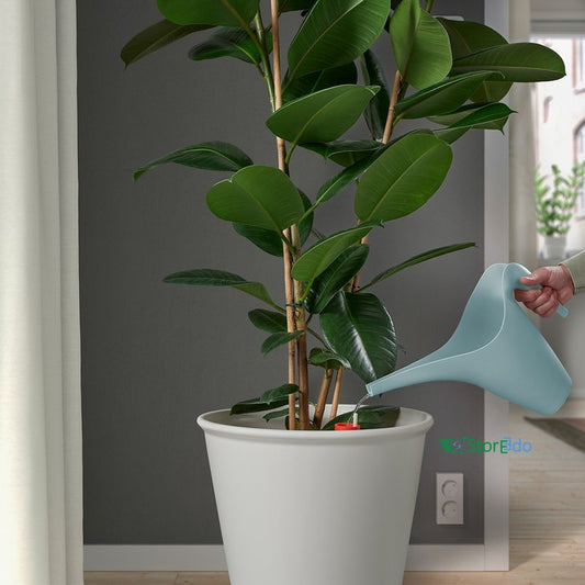 IKEA : PS 2002 : Watering Can