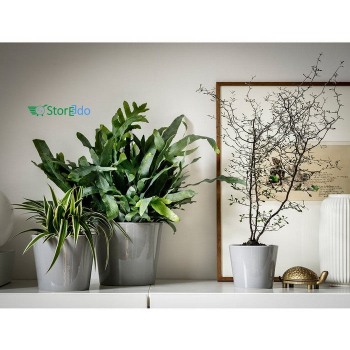 IKEA : SKOGSVINBAR : Plant Pot