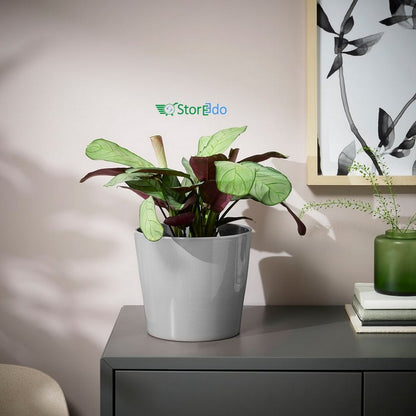 IKEA : SKOGSVINBAR : Plant Pot