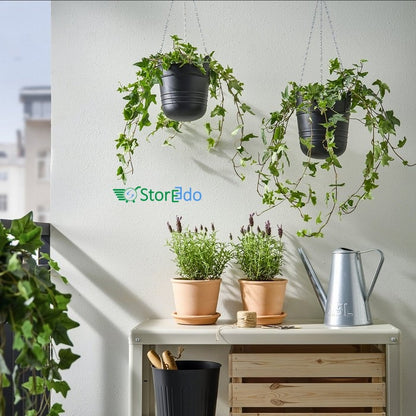 IKEA : PARLRONN : Hanging Planter - In/Out Door