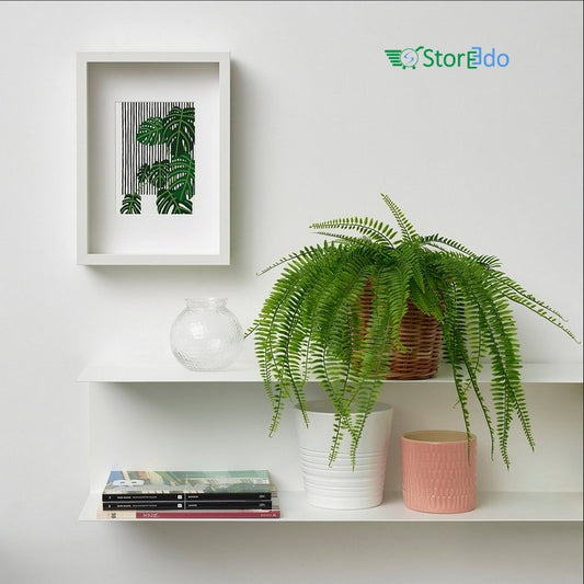 IKEA : FEJKA : Artificial Potted Plant - Hanging / Fern