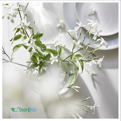 IKEA : LUGNARE : Scented Pillar Candle - Jasmine