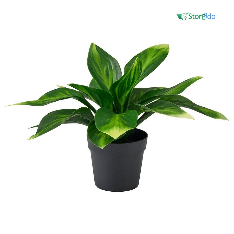 IKEA : FEJKA : Artificial Potted Plant - Plantain lily