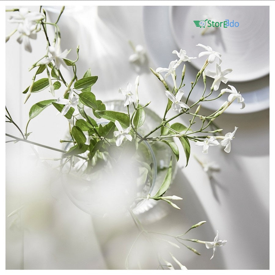 IKEA : LOVSKOGSLUND : Scented Candle in Glass- Jasmine