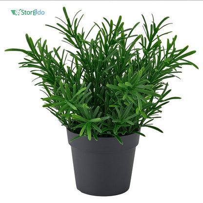 IKEA : FEJKA : Artificial Potted Plant - Rosemary
