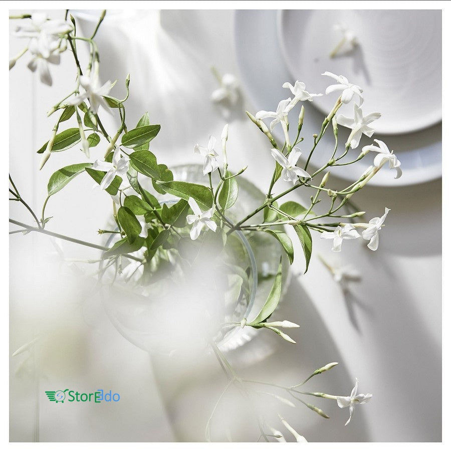 IKEA : LUGNARE : Scented Candle in Ceramic Jar- Jasmine