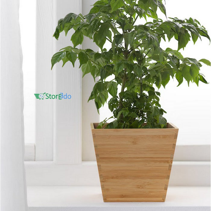 IKEA : VILDAPEL : Plant Pot Bamboo