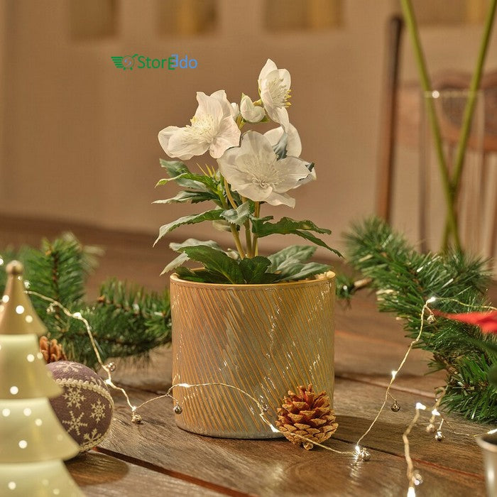 IKEA : VINTERFINT : Artificial Potted Plant - Christmas Rose