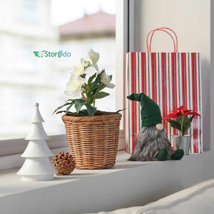 IKEA : VINTERFINT : Artificial Potted Plant - Christmas Rose