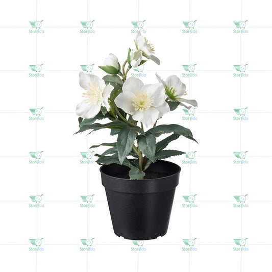 IKEA : VINTERFINT : Artificial Potted Plant - Christmas Rose
