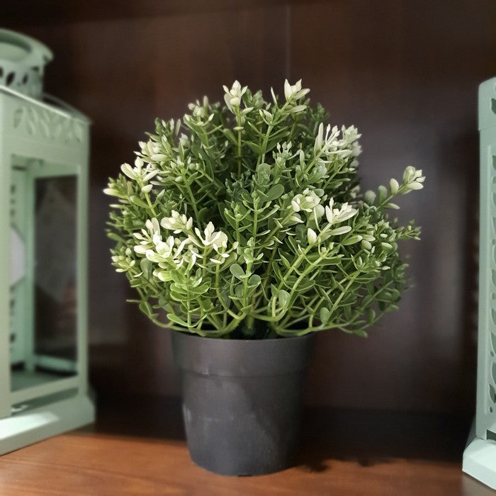 FEJKA Artificial potted plant, thyme, 3 ½ - IKEA