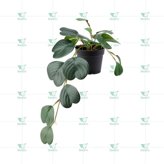 IKEA : FEJKA : Artifical Potted Hanging Plant - Peperomia