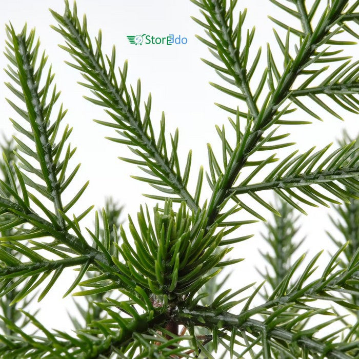 IKEA : FEJKA : Artifical Potted Plant - Norfolk Island Pine