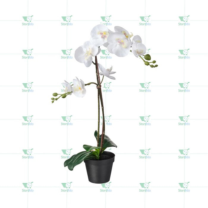 IKEA : FEJKA : Artificial Potted Plant : Orchid White