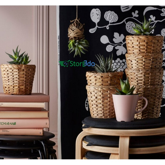 IKEA : FRIDFULL : Plant Pot : Water Hyacinth