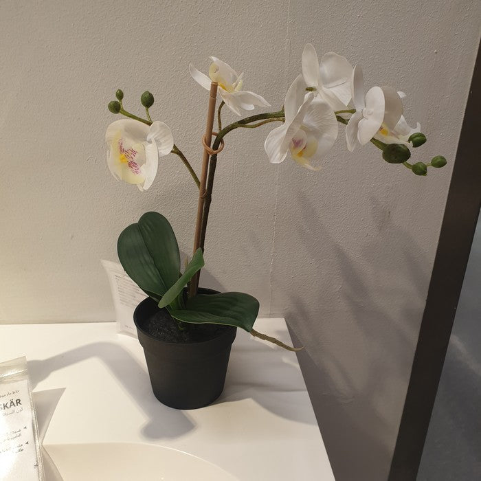 IKEA : FEJKA : Artificial potted plant - Orchid