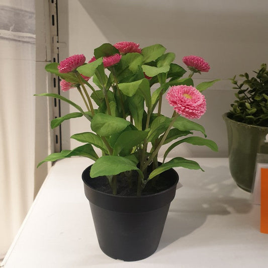 IKEA : FEJKA : Artificial Potted Plant - Common Daisy Pink