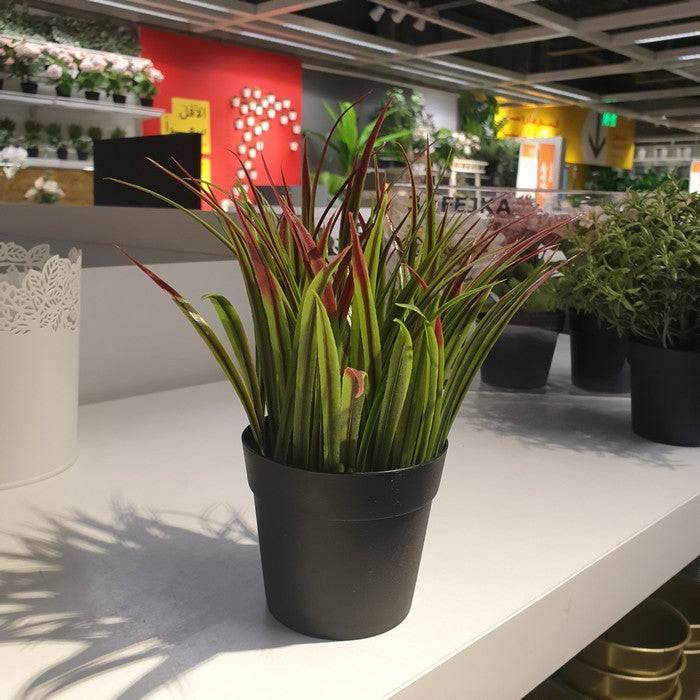IKEA : FEJKA : Artificial potted plant - Grass