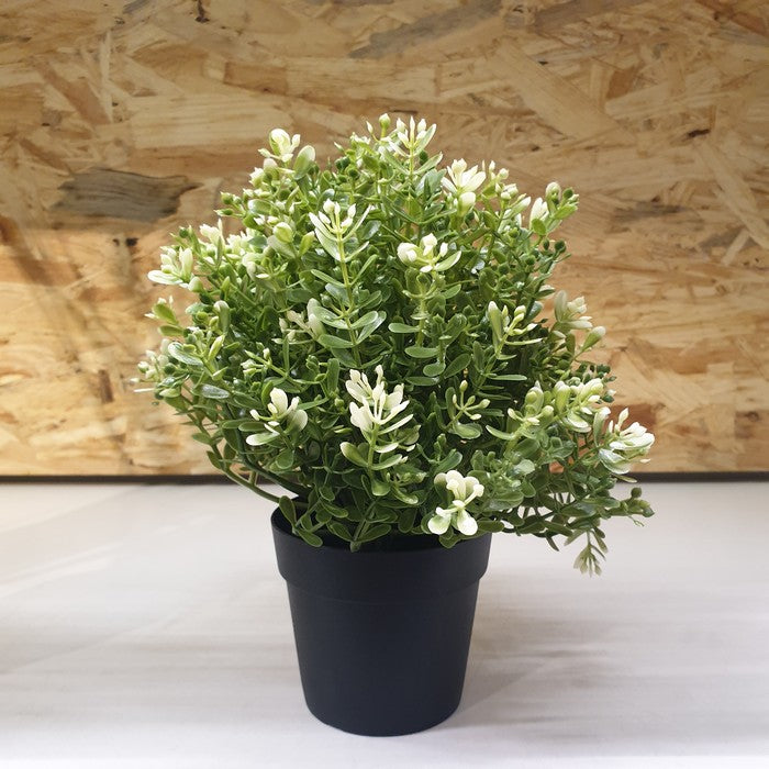 IKEA : FEJKA : Artificial Potted Plant - Thyme
