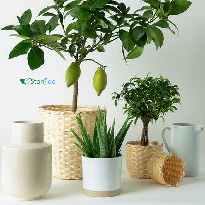 IKEA : KAFFEBONA : Plant Pot