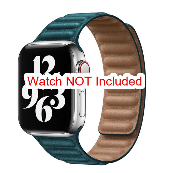 Apple Watch Straps : Link Leather
