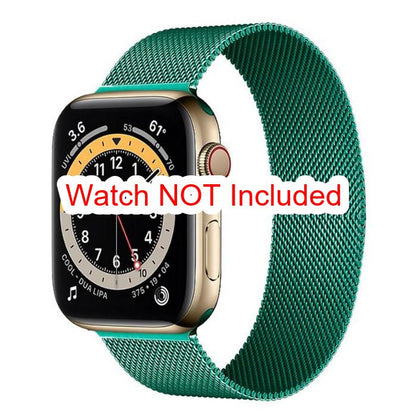 Apple Watch Straps : Milanese Stainless Steel