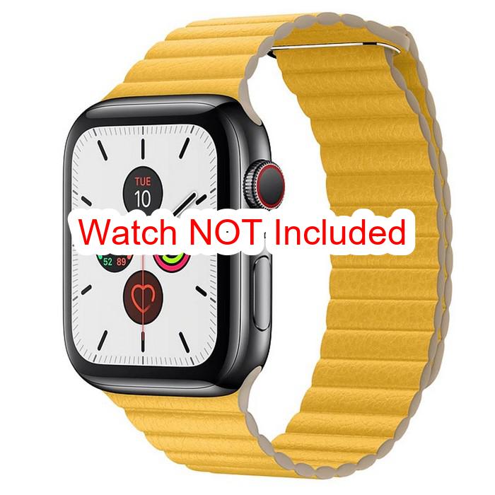 Apple Watch Straps : Magnetic Leather